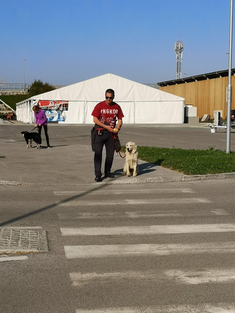 IMG_20191026_102353