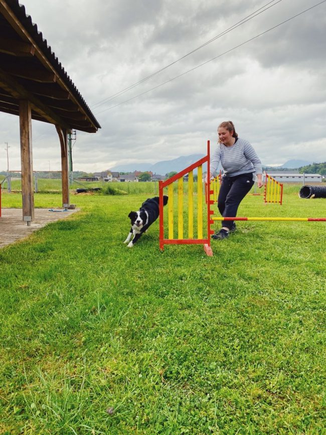 Slika2-768×1024