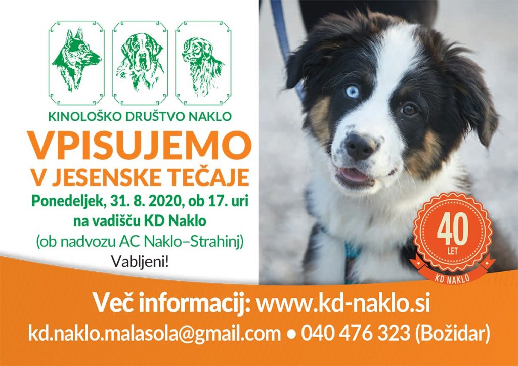 Letak za tečaj mala šola za najmlajše, mala šola snovno šolanje, agility