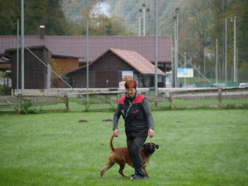 Mojca IGP