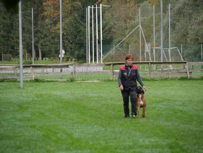121329325_2753331528224236_1054118561382967882_n Mojca B igp