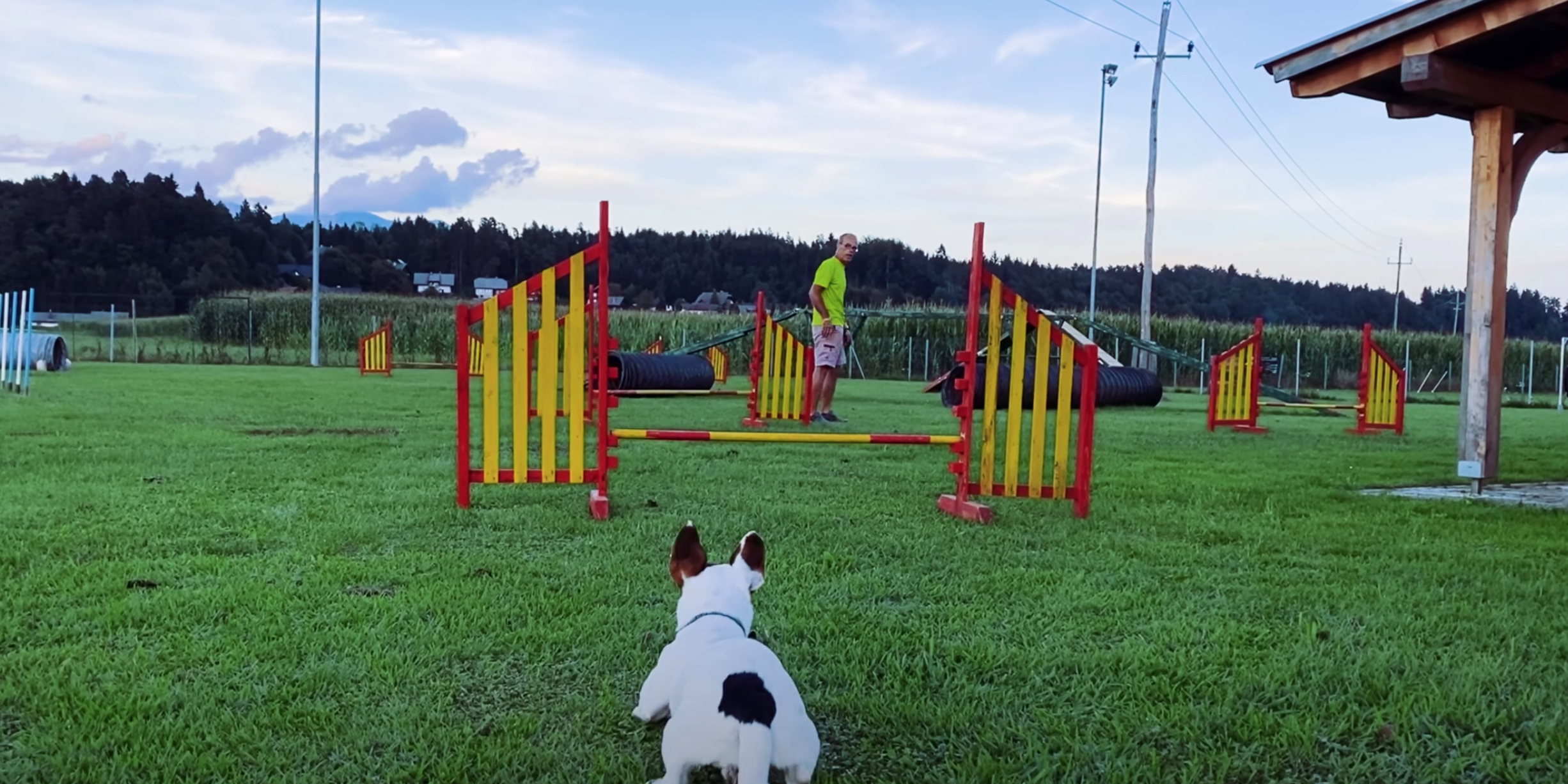 Screenshot 2020-10-28 at 09.36.25 Agility videolog jesen 2020
