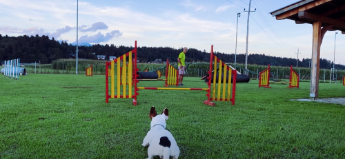 Agility videolog jesen 2020