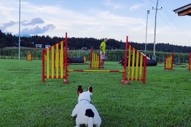 Agility videolog jesen 2020