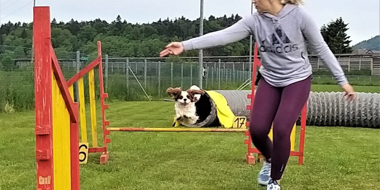 agility_tečaj_1 Agility Izpit 2021