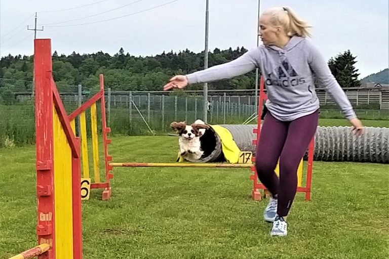 Agility Izpit 2021