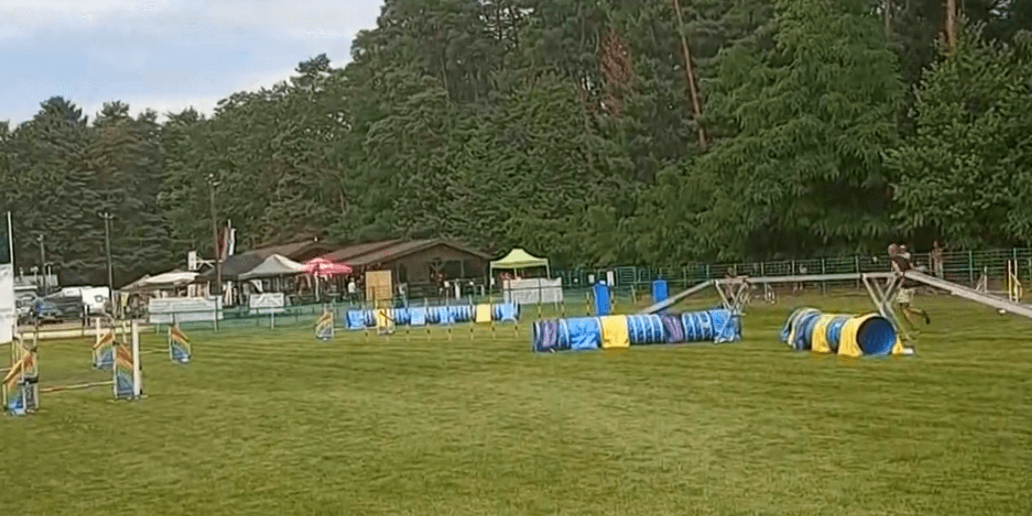 dirka Slovenian open agility