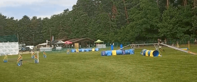 dirka Slovenian open agility