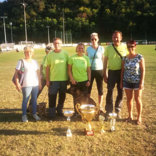 državno prvenstvo šolanih psov CACT Slovenije.jpg