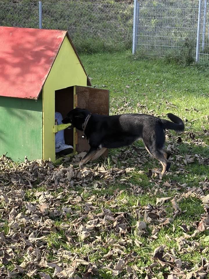agility-3